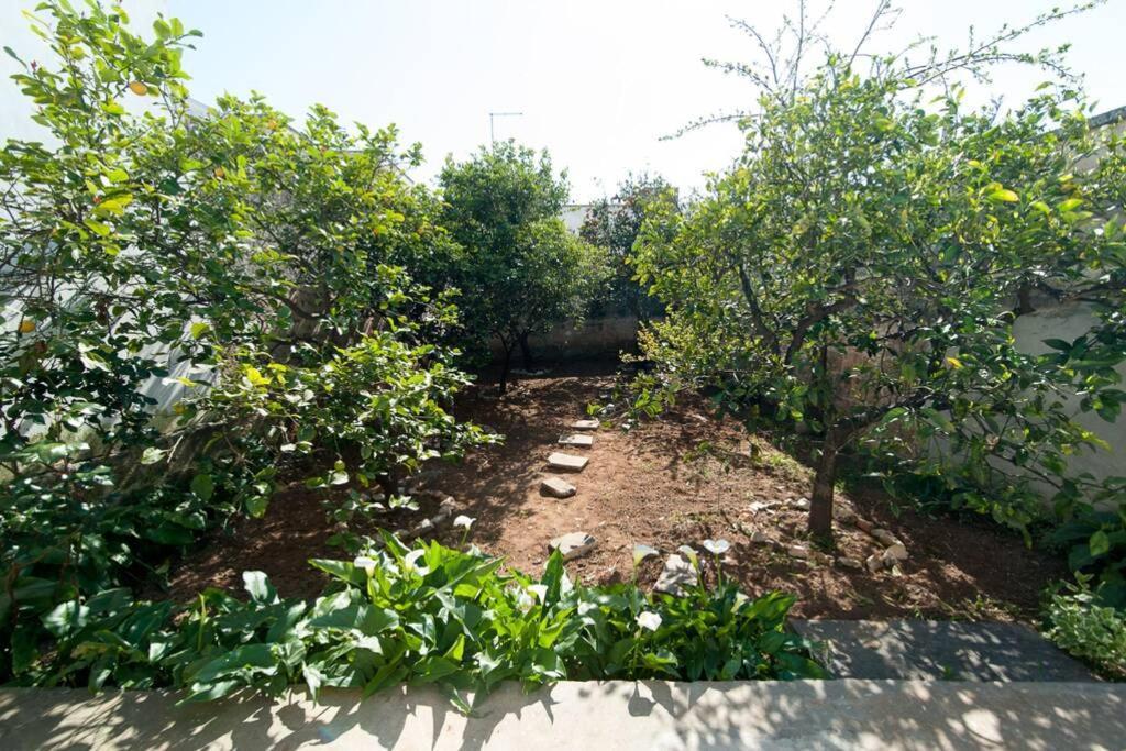 הוילה קופרטינו Casa Vacanza Zia Nunziatina מראה חיצוני תמונה